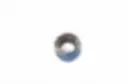0009-2.webp