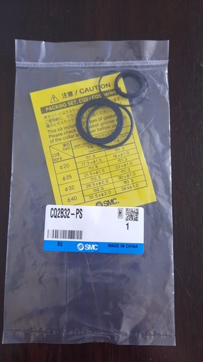 Gasket Piston Rci Smc Set